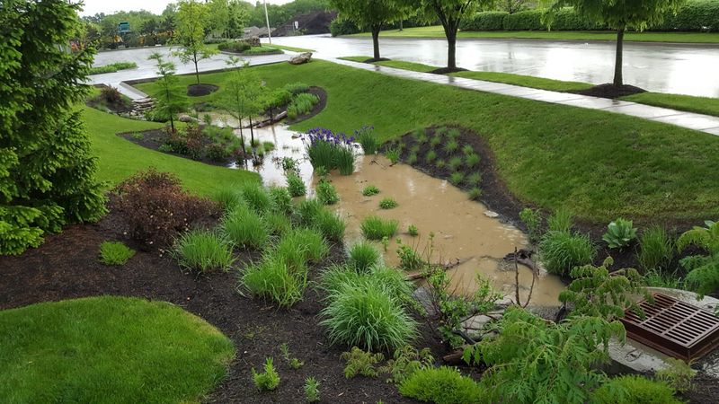 Build Bioswales to Channel and Clean Runoff