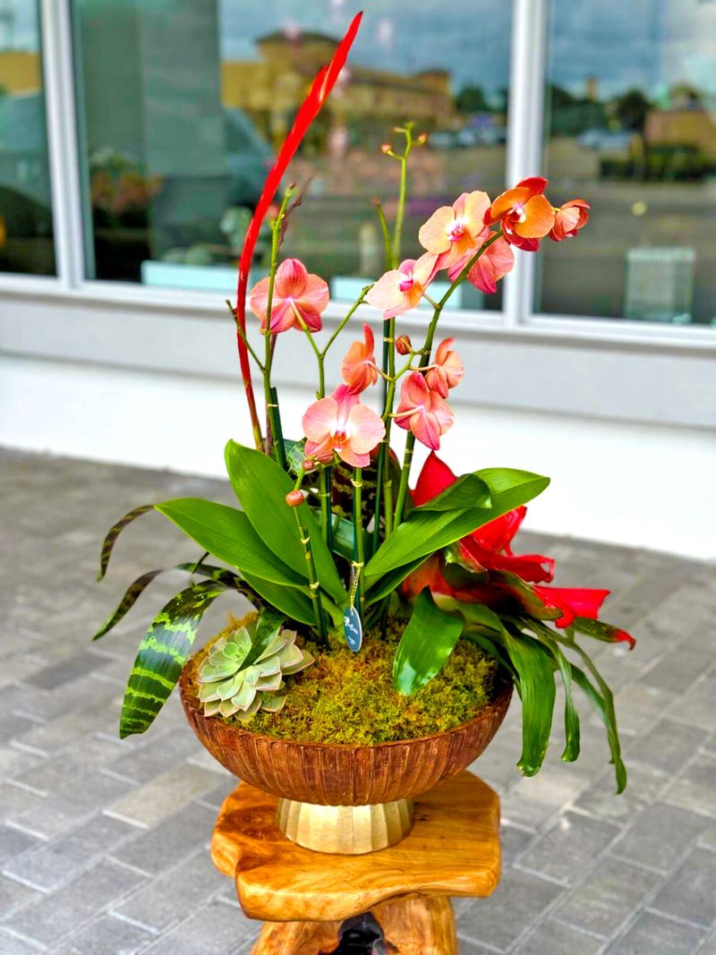 Embrace Container Growing Freedom