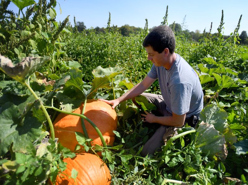 Harvesting Techniques