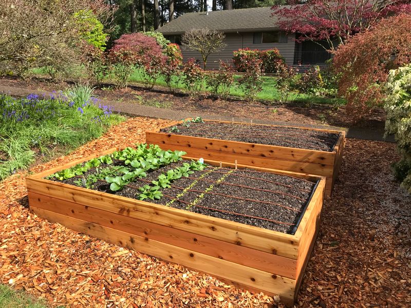 Utilizing Raised Beds for Better Drainage