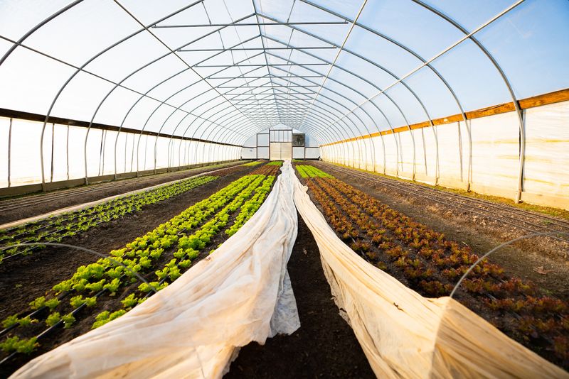 Extend Your Growing Season Strategically