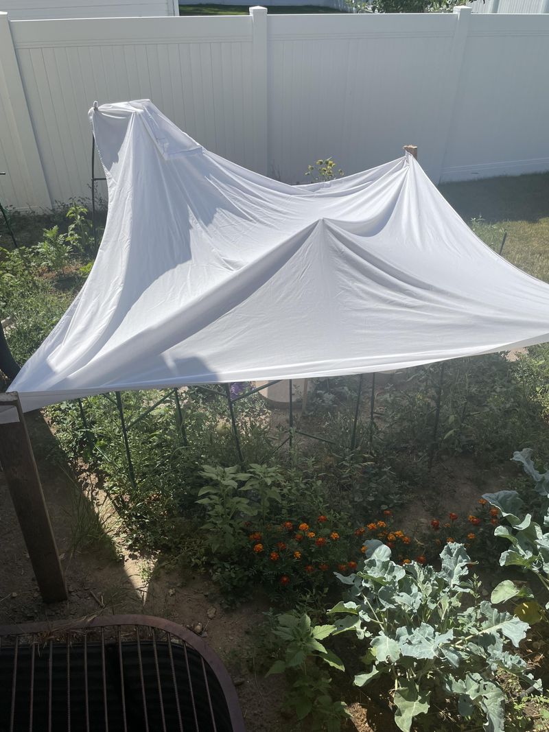 Provide Afternoon Shade Relief