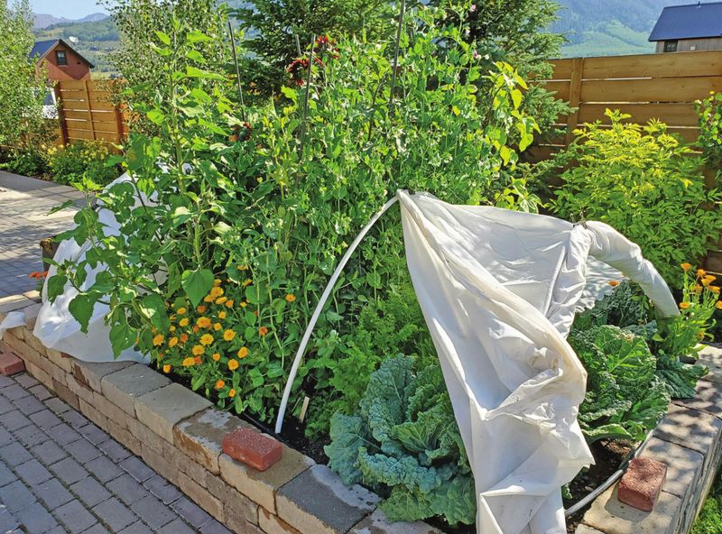 Extend Your Growing Season with Smart Techniques