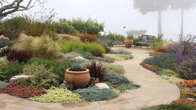 Xeriscaping for Drought Resilience
