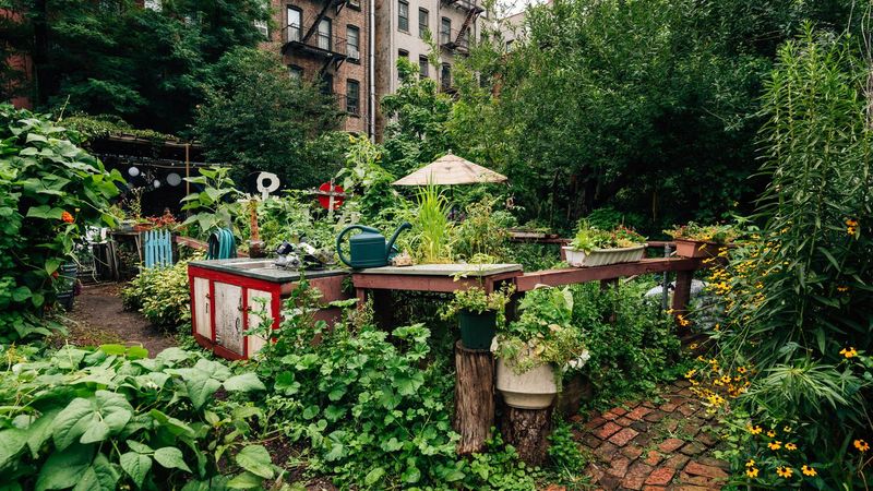 Community Networks Share Growing Tips