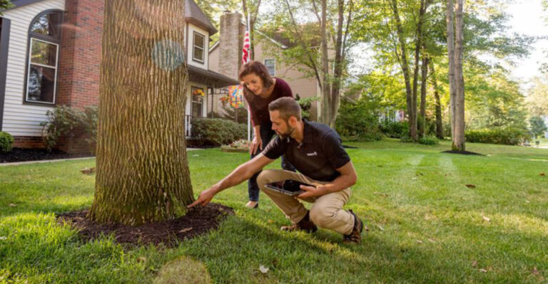 Seasonal Garden Maintenance Tips for Maryland Homeowners
