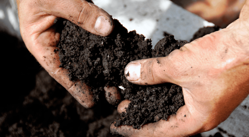 Spring Soil Preparation and Testing