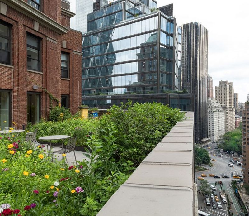 Pest Control in High-Rise Gardens