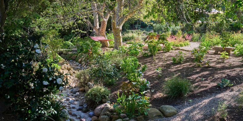 Create Wildlife-Friendly Garden Spaces - Supporting Local Ecosystems