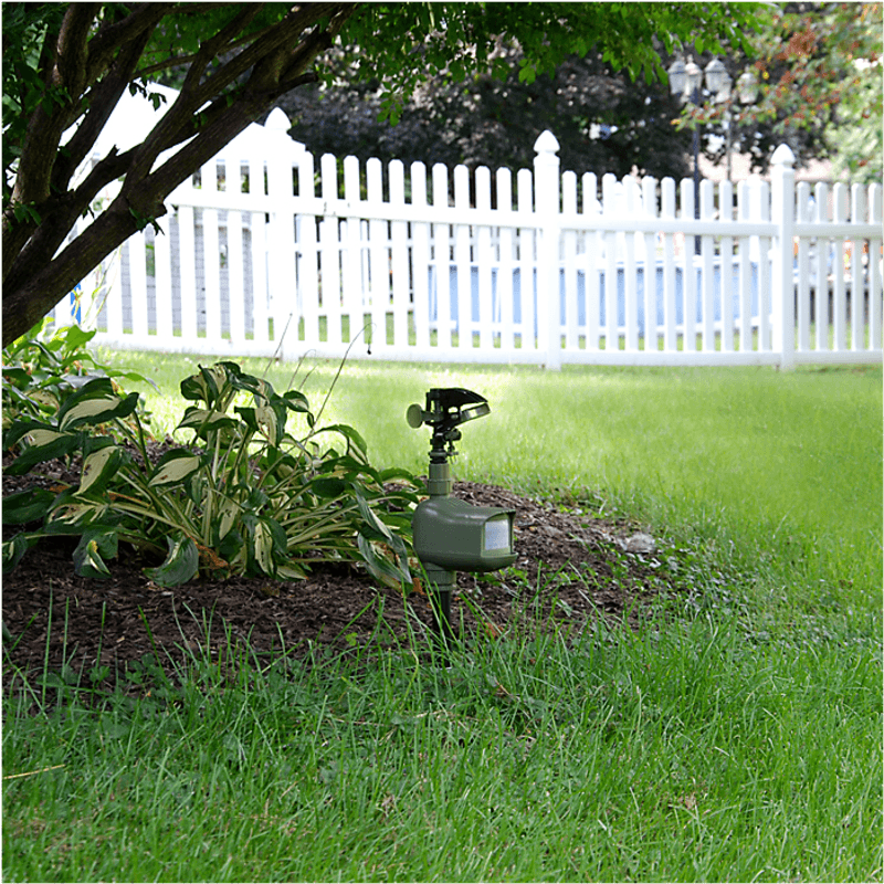 Install Motion-Activated Sprinklers