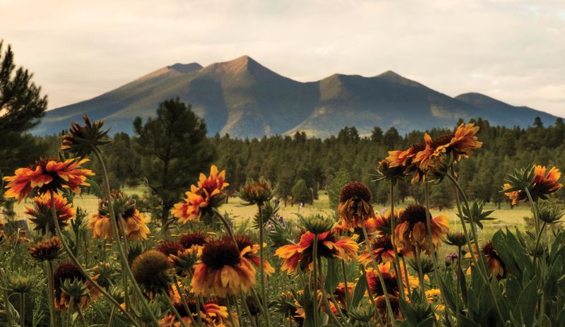 The Arboretum at Flagstaff, Arizona