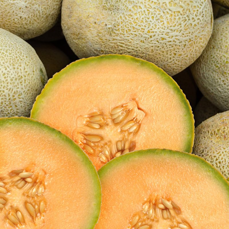 Cantaloupe