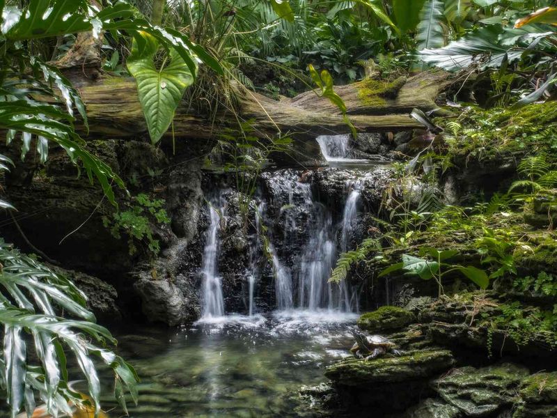 Pinecrest Gardens, Florida