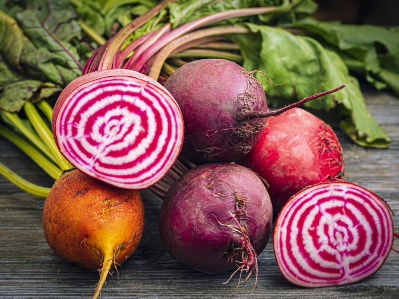 Colorful Beet Harvests