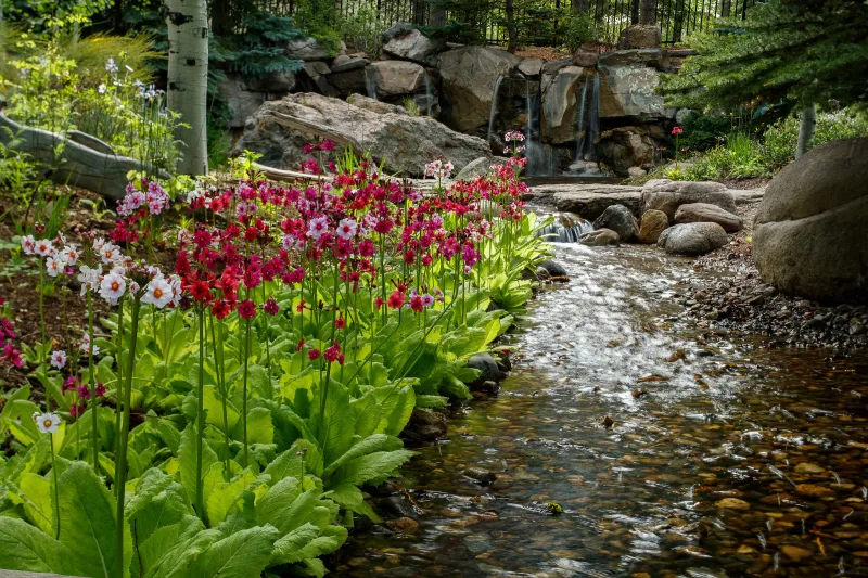 Durango Botanic Gardens, Colorado