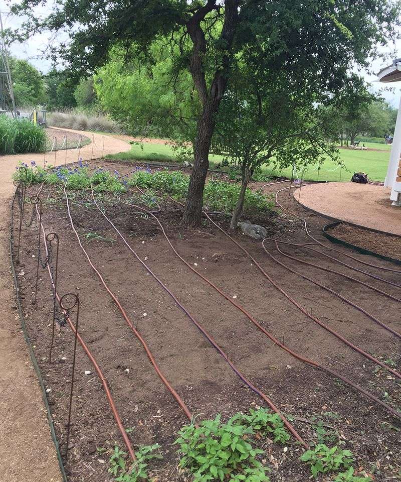 Create an Efficient Mountain Watering System