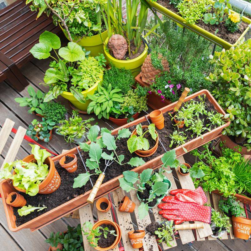 Embrace Container Gardening for Ultimate Control