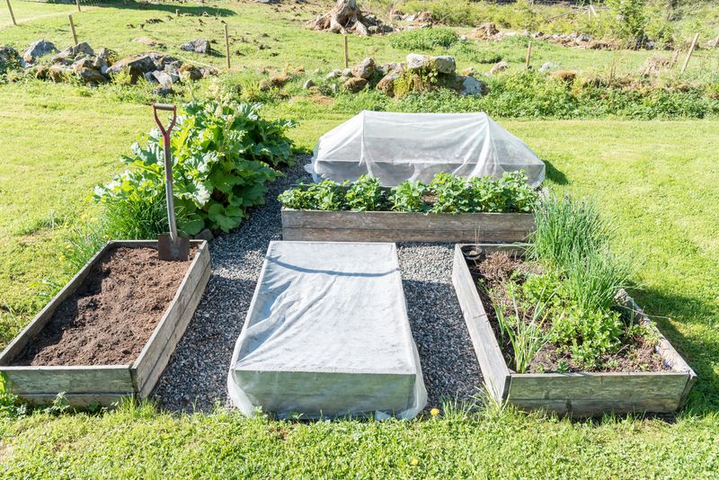 Master the Art of Raised Bed Mountain Gardening