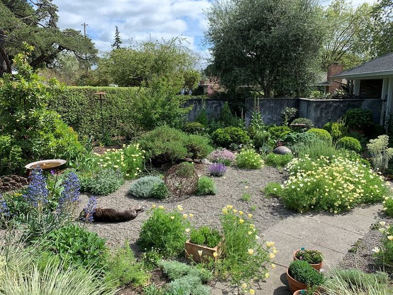 Embrace Drought-Tolerant Landscaping - Water-Wise Garden Design