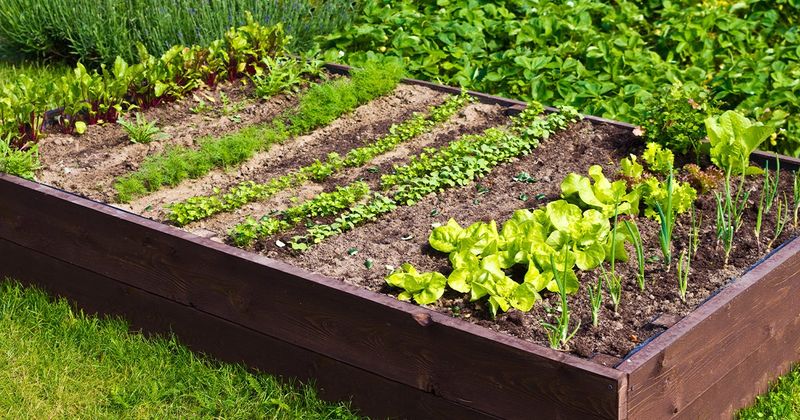 Create Raised Beds for Faster Soil Warming