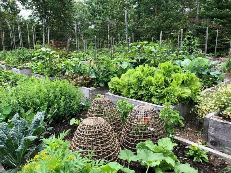 Plan for Year-Round Interest