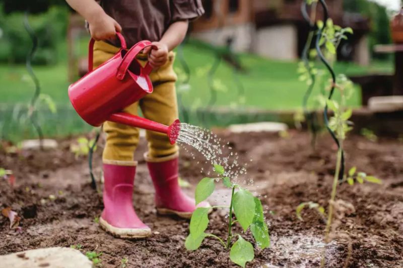 Smart Fertilizer Reduction Strategy