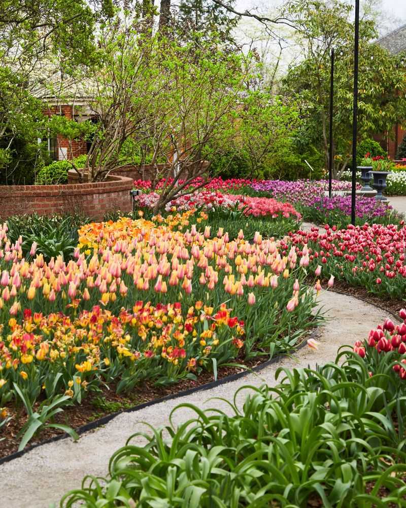 Heirloom Plants and Flowers