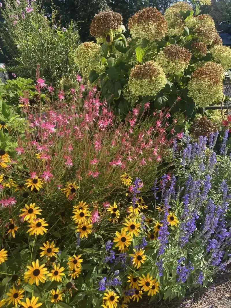 Charming Flower Borders