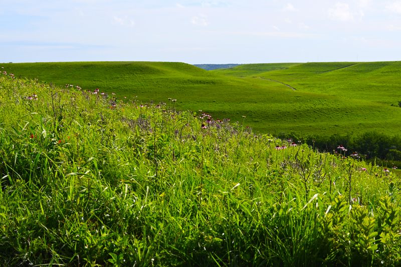 Four Seasons of Natural Beauty
