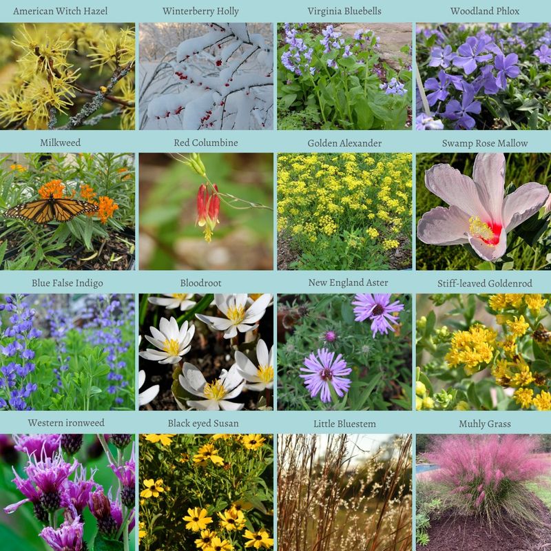 Year-Round Garden Planning