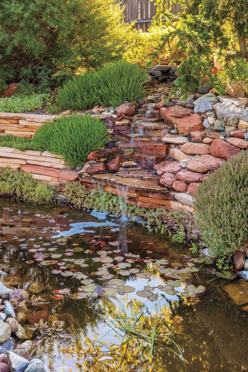 Terraced Hillside Water Harvesting