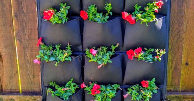 20 Small-Space Gardening Ideas That Deliver Big Impact