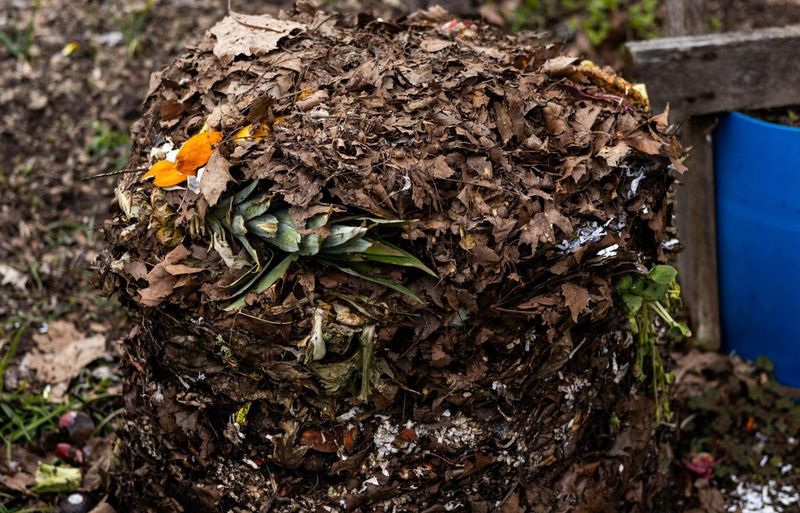 Foster Soil Microorganisms