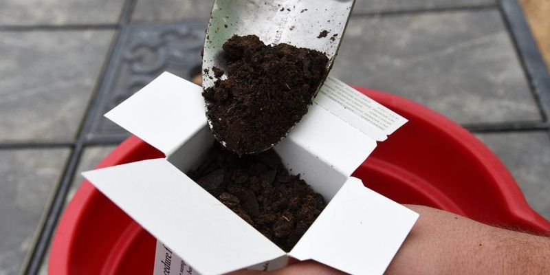 Monitor Soil pH Regularly