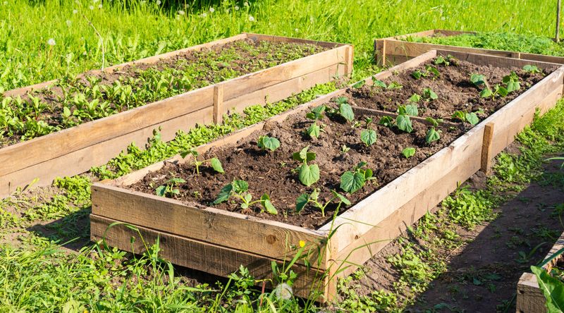Use Raised Beds