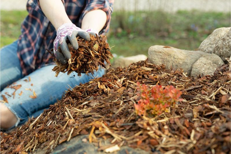 Mulch Perennial Beds for Winter Protection