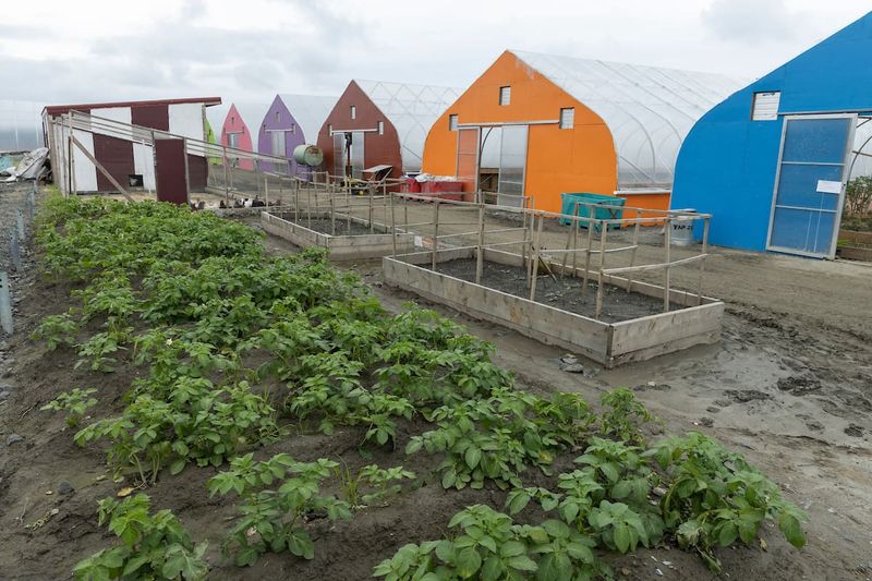 Involving Community Knowledge and Resources