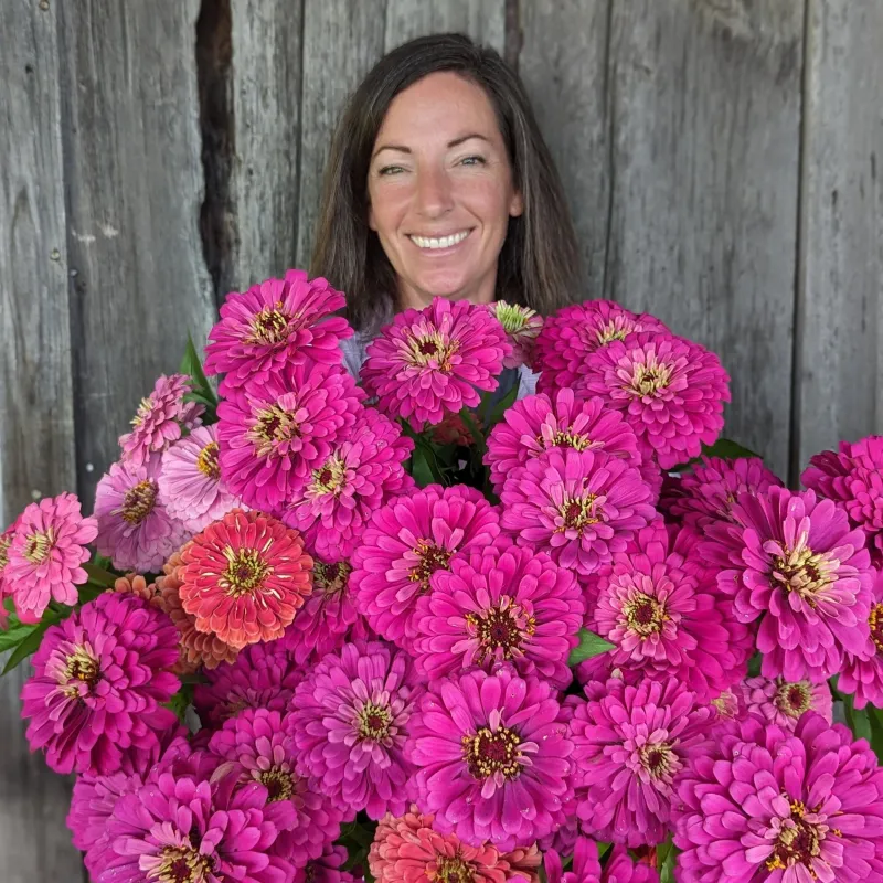 Harvesting and Enjoying Cut Zinnias