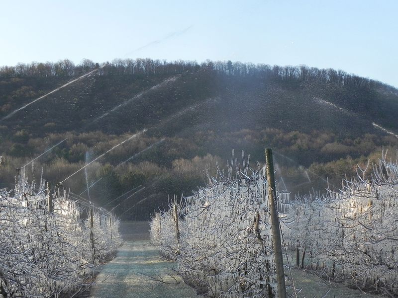 Shield Against Frost Damage