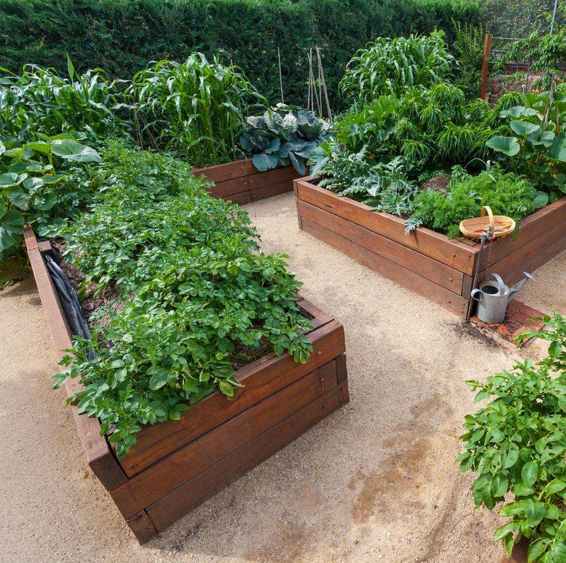 Raised Bed Solutions