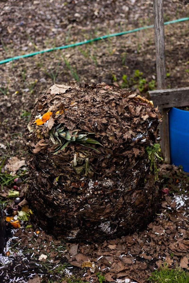 Improving Soil Quality