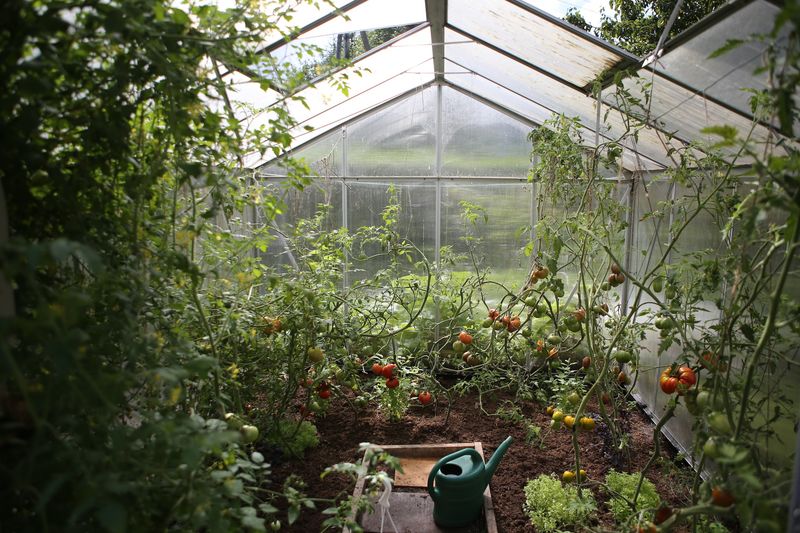 Embracing Seasonal Crop Rotation