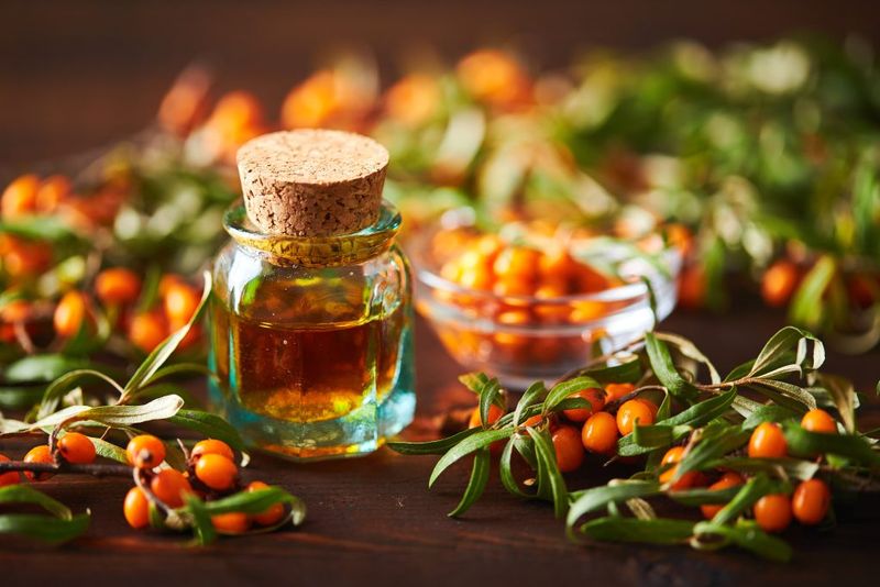 Sea Buckthorn - Tiny Berries, Big Benefits