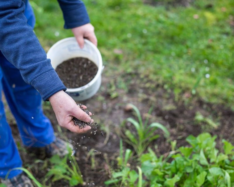 Avoid Chemical Overload