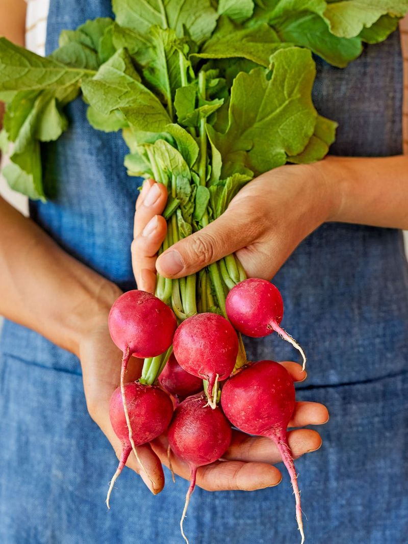 Radishes