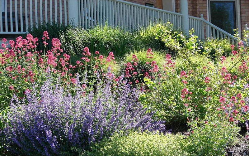 Soil Erosion Washing Away Your Garden