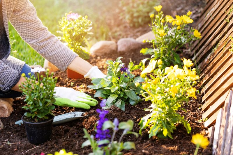 Maintaining Your Garden