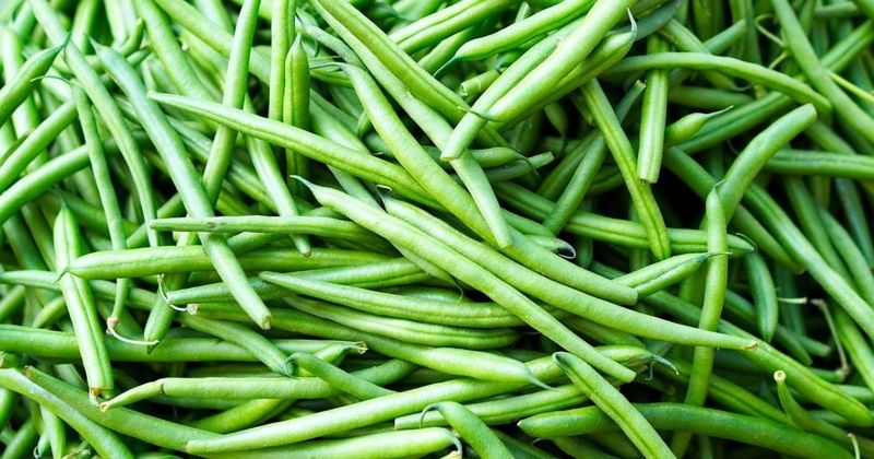 Green Beans