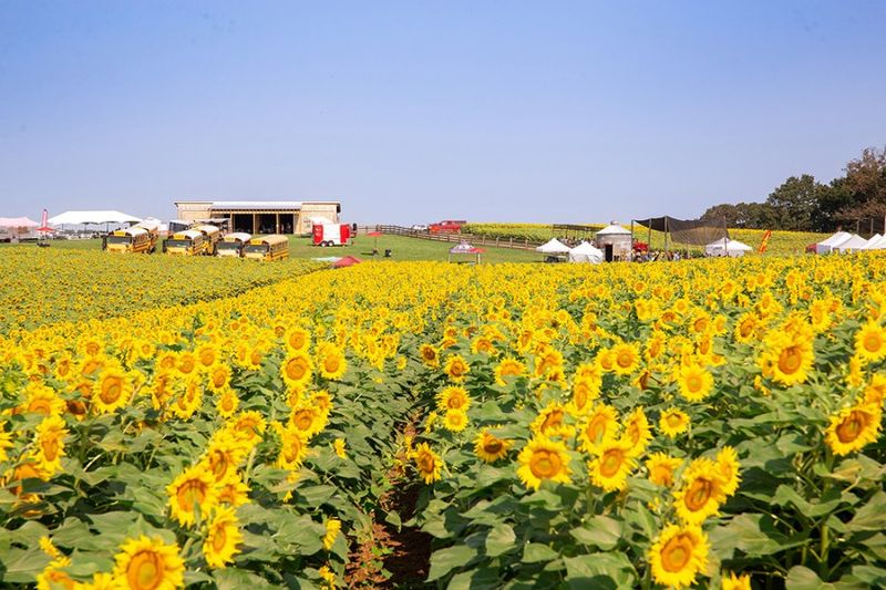 Strong Local Growing Community