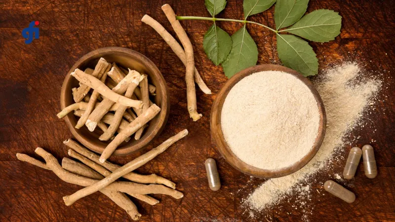 Ashwagandha - The Stress-Fighting Warrior